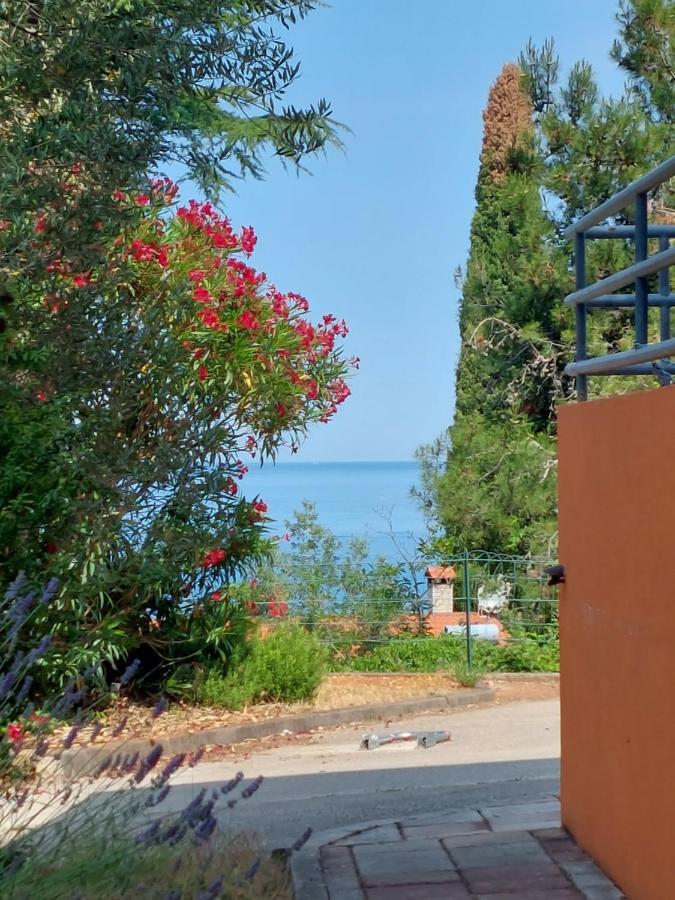 Novigrad Istria Apartments Henc מראה חיצוני תמונה