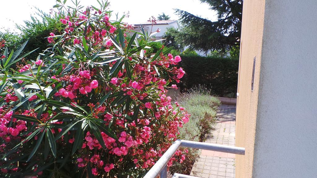 Novigrad Istria Apartments Henc מראה חיצוני תמונה