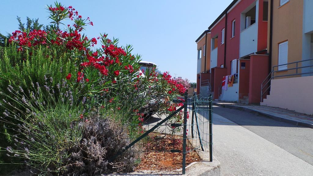Novigrad Istria Apartments Henc מראה חיצוני תמונה