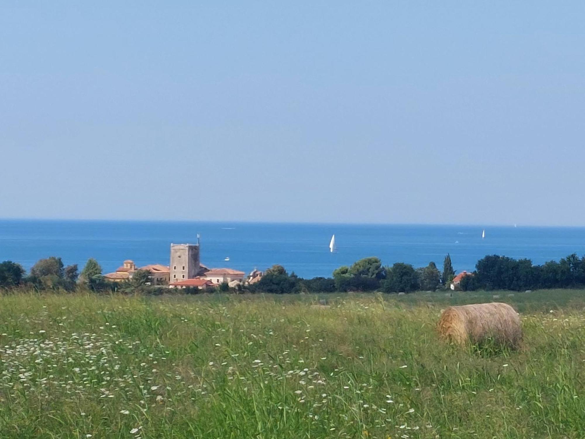 Novigrad Istria Apartments Henc מראה חיצוני תמונה