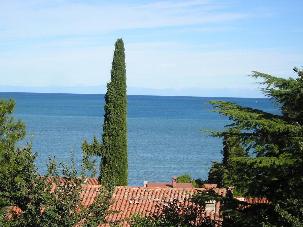 Novigrad Istria Apartments Henc חדר תמונה