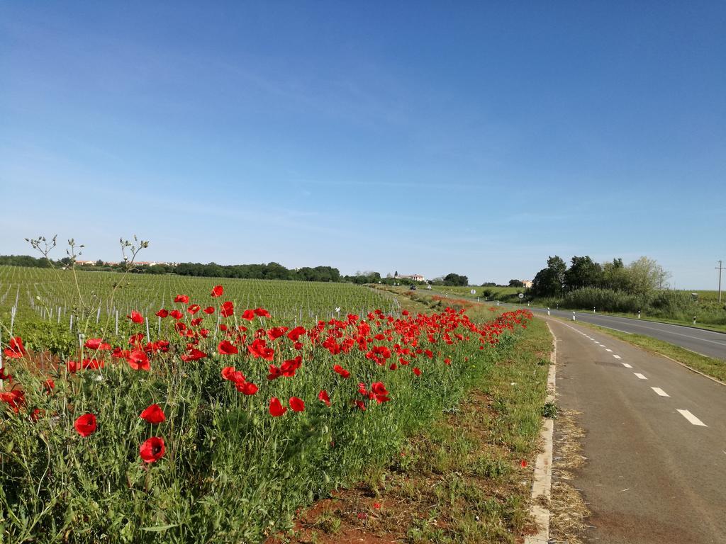 Novigrad Istria Apartments Henc מראה חיצוני תמונה